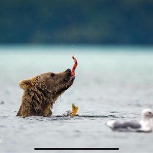 Meet your Posher, Katherine